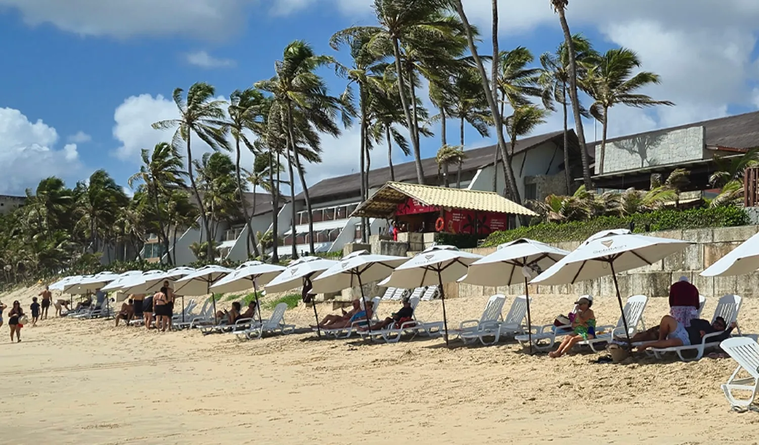 Playa 6