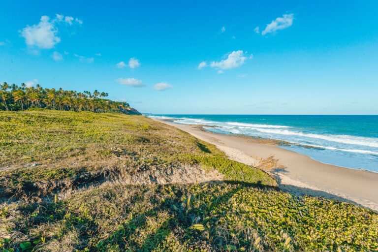 Maragogi, Praia do Gunga, Praia do Francês e Barra de São Miguel: as melhores praias perto de Maceió