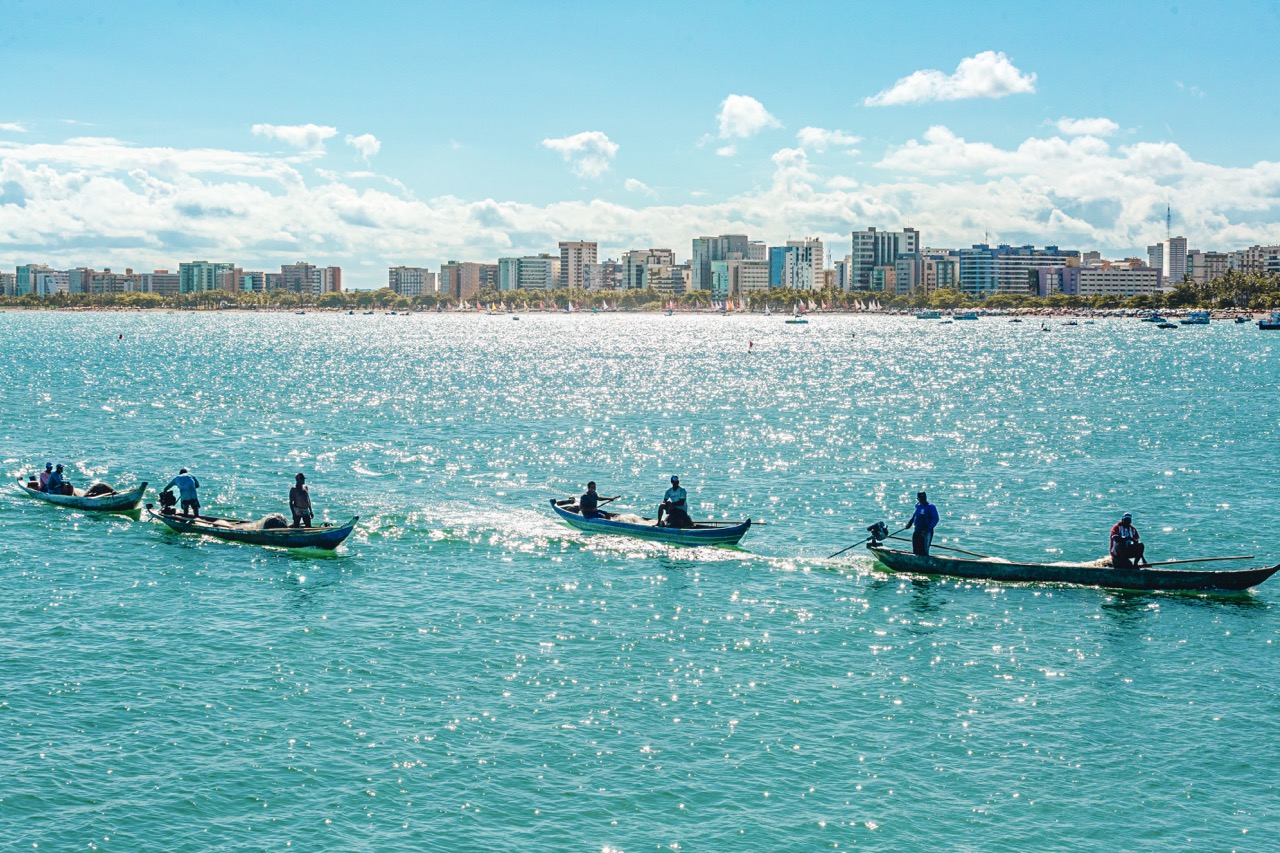 Maceio - (LM) (1) Large