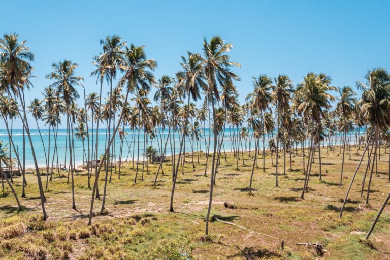 Como planejar sua viagem a Maceió de acordo com a temporada e as marés